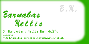 barnabas mellis business card